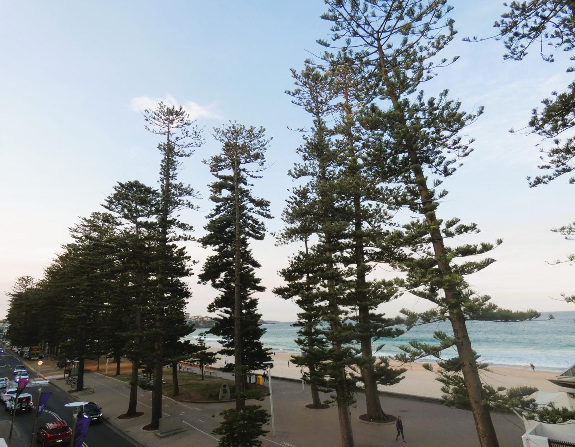 Stay At Hotel Steyne Sydney Exteriör bild
